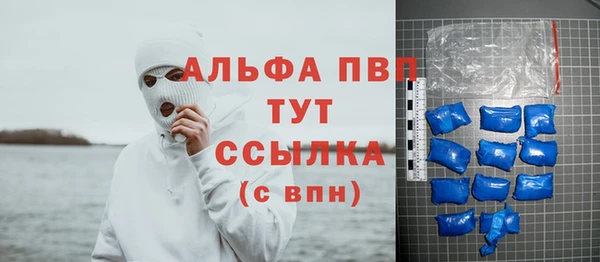 шишки Богданович