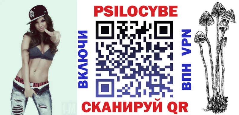 где купить   Бронницы  Галлюциногенные грибы Psilocybe 